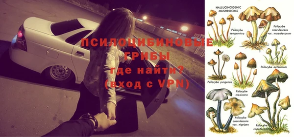 соль ск Саяногорск