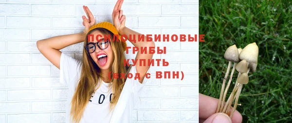 МДПВ Сафоново